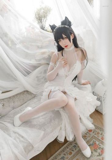 大片免费播放在线观看视频